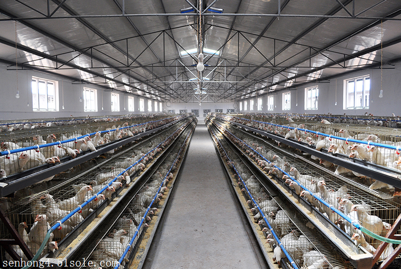 养殖场环境综合测控系统,自动化管理平台,物联网远程监控