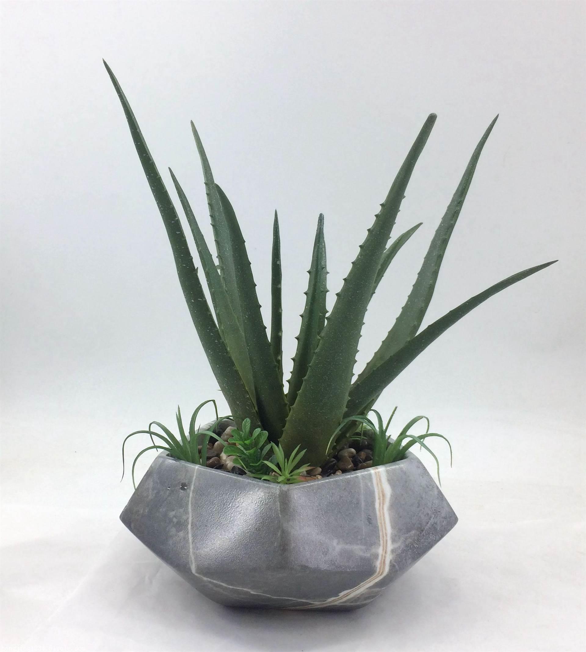 盆景芦荟仿真植物 塑胶 居家室内外摆放装饰品