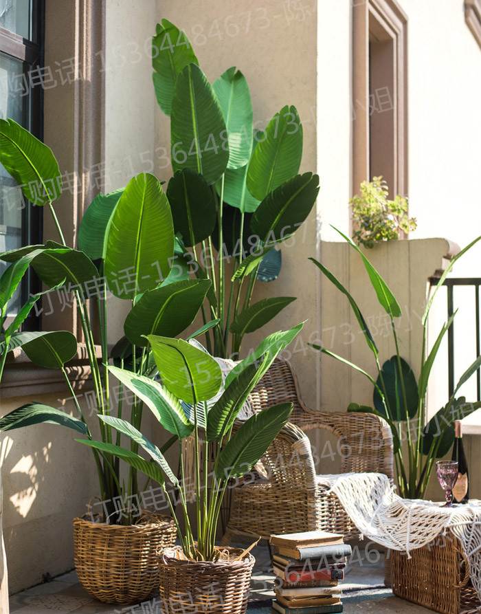 旅人蕉大型仿真热带植物盆景 客厅卧室装饰花艺造景