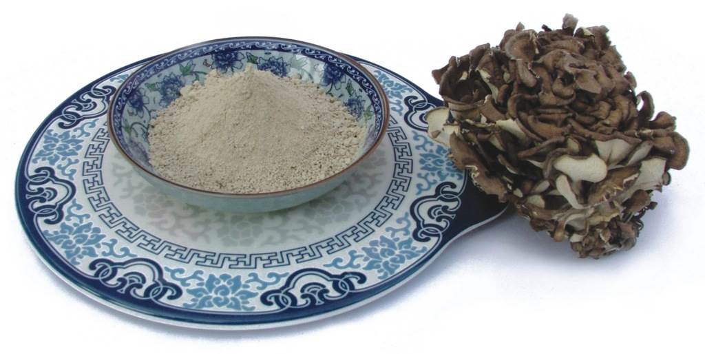 舞茸粉舞茸速溶粉舞茸汁粉舞茸酵素粉舞茸浸膏粉现