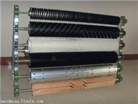 厂家直销食品机械清洗机毛刷辊 果蔬清洗除尘辊刷 