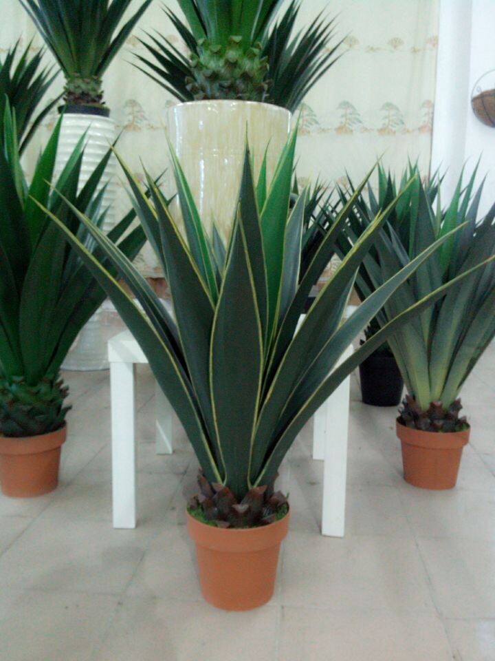 仿真剑麻盆栽植物家居装饰 绿植摆件