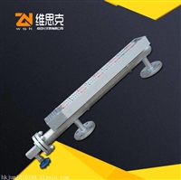 防腐PPRUHZ-58/F316L磁致伸缩远传磁翻板液位计