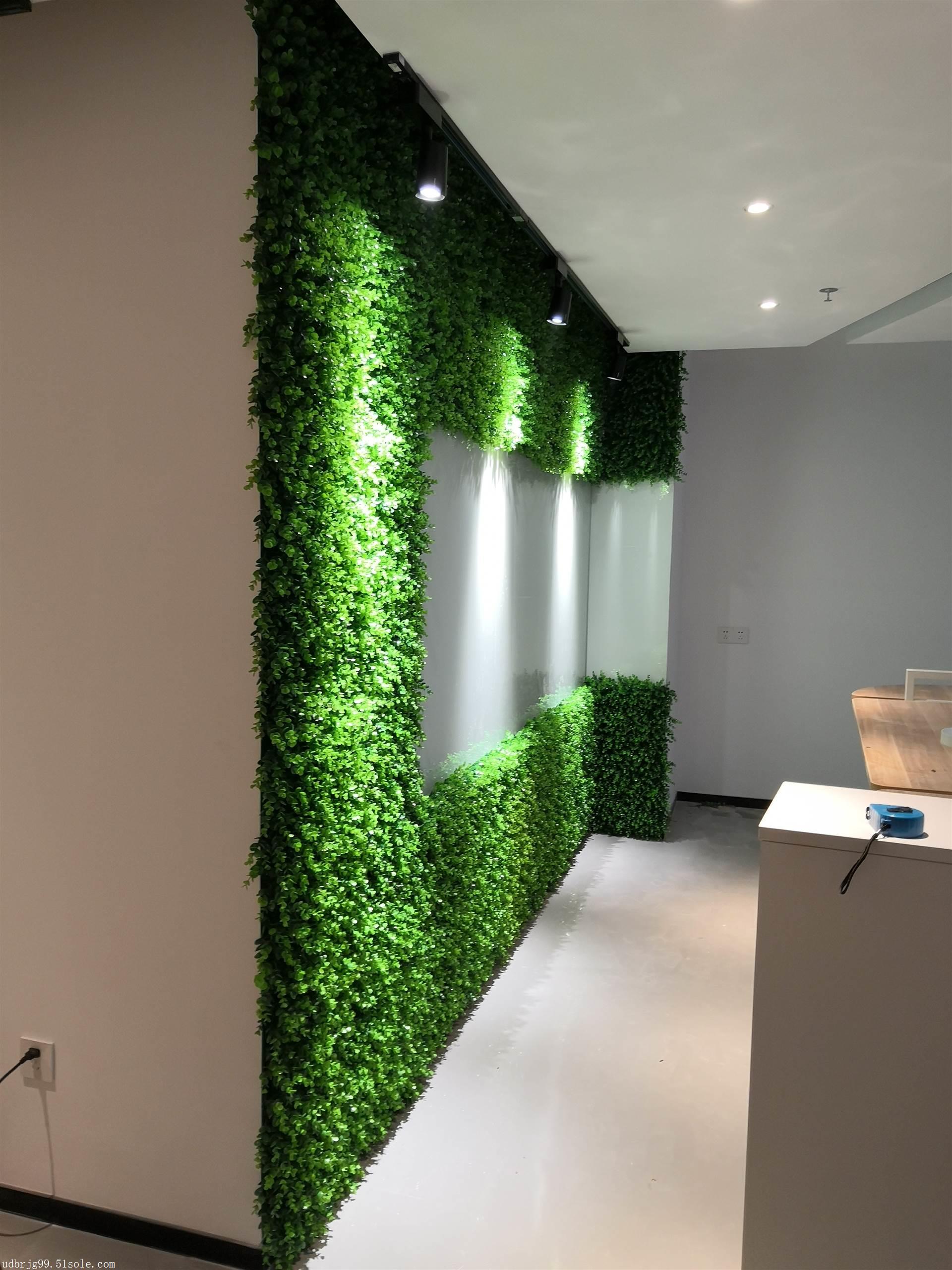 立体绿化植物墙公司