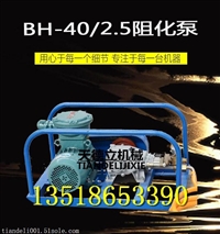 BH-40/2.5矿用阻化泵 阻化剂喷射泵0319