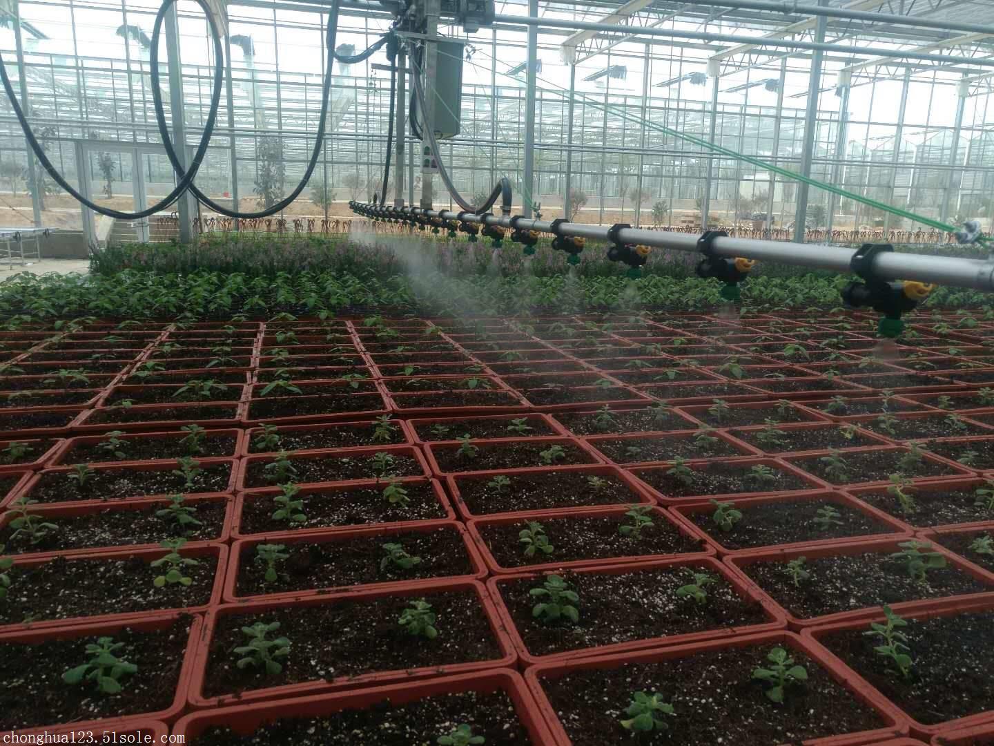 潮汐式苗床/移动苗床/育苗喷灌机/基质栽培槽厂家直销