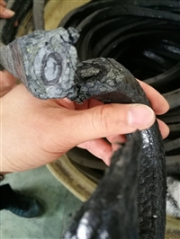 浸油石棉盘根  油浸石墨石棉盘根厂家 骏驰