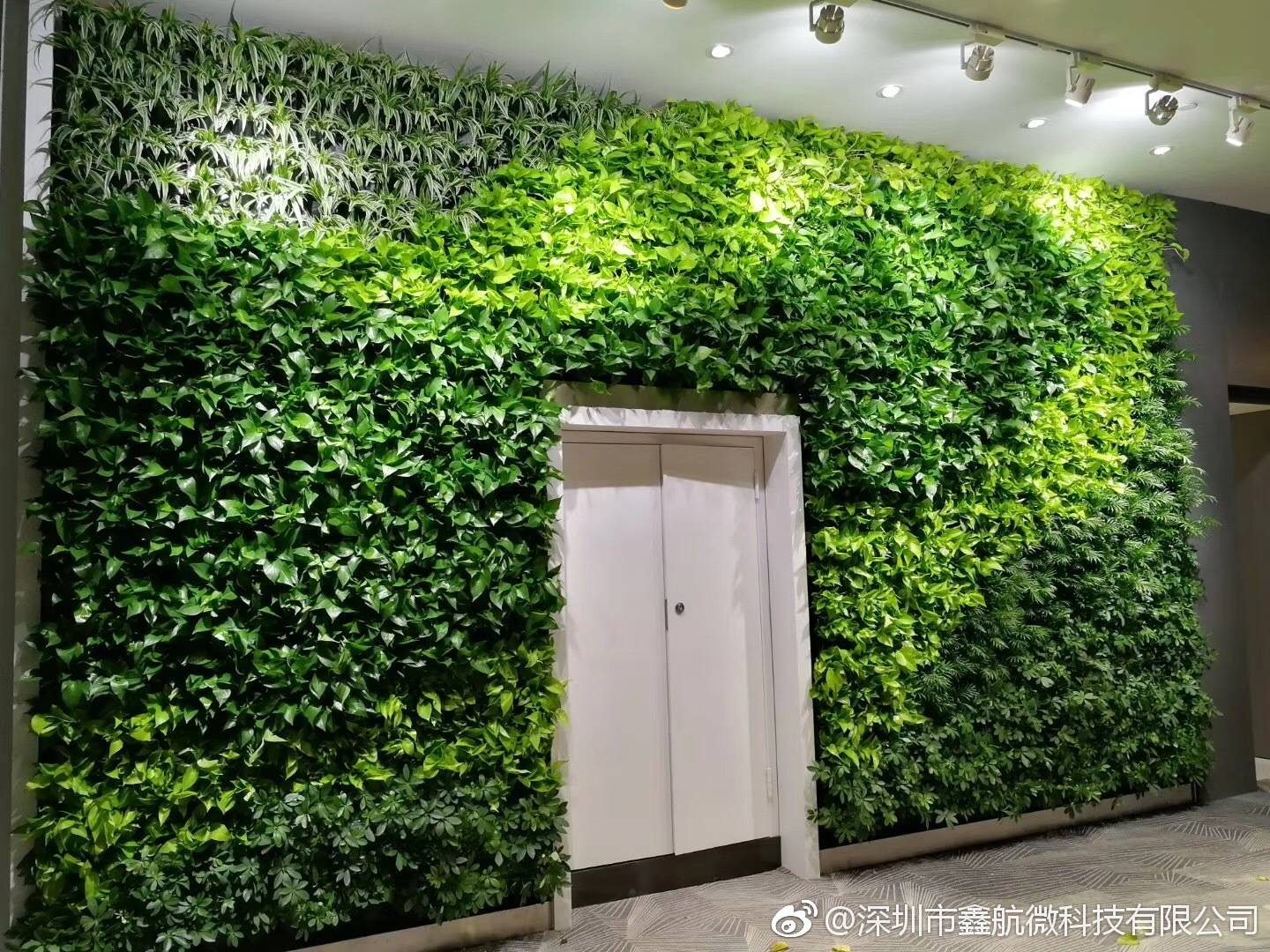 led植物墙补光灯轨道式射灯绿植墙生长灯