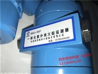 西安燃信热能RXZJ-102T一体化火焰检测器 石油化工冶金环保专用