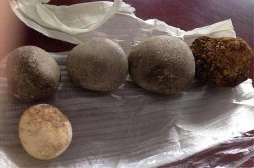 国家一流羊宝上门收购