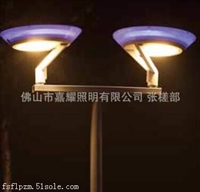 飞利浦城市之光LED庭院照明灯具BDS482 44W滨江两岸照明辅道照明