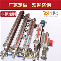 下端安装法兰UHZ-58/CG/A10贵州市衬四氟防腐液位计