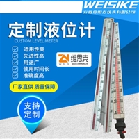 不锈钢内衬PPR型UHZ-58/CFPP3高压液位计面板厂家