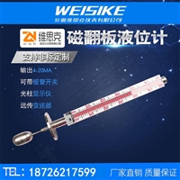 高温插入式液位计厂家JZF-A50显示面板PP材质