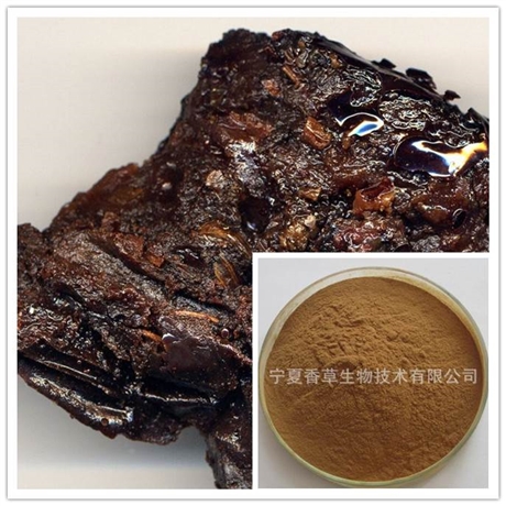 南非醉茄提取物20:1规格可定制 南非醉茄浸膏粉 南非醉茄速溶粉