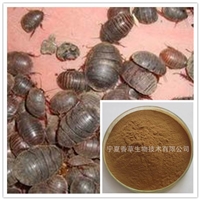 土鳖虫提取物10:1蚂蚁虎速溶粉 土鳖虫浸膏粉 土鳖虫速溶粉 