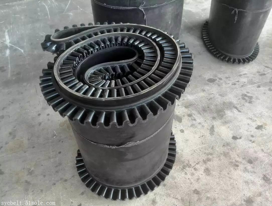 环形裙边输送带环形裙边皮带裙边环形输送带价格