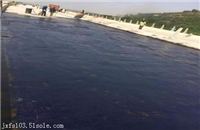 BBC-251道桥防水粘结剂厂家