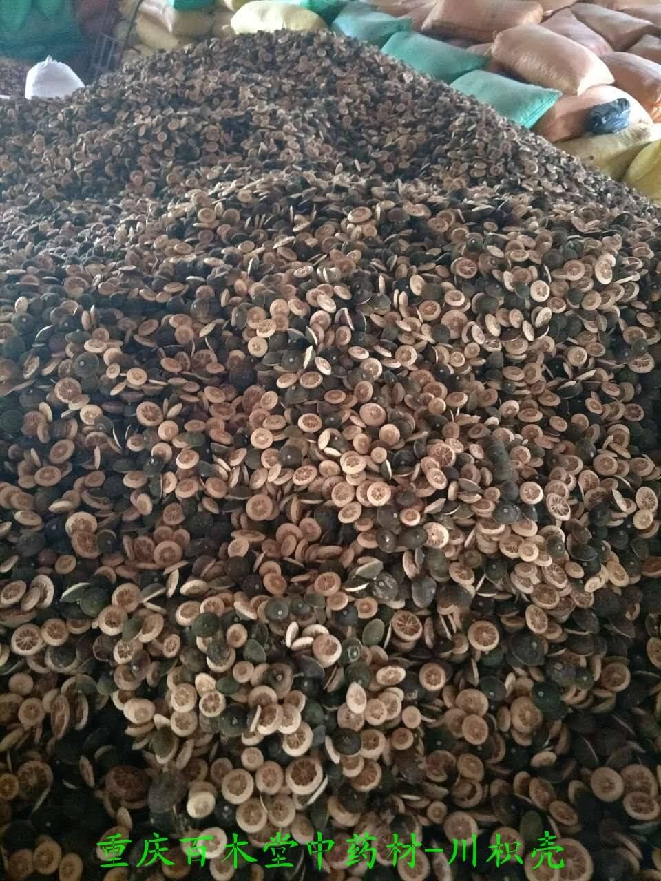 枳壳的功效与作用中药材枳壳苗