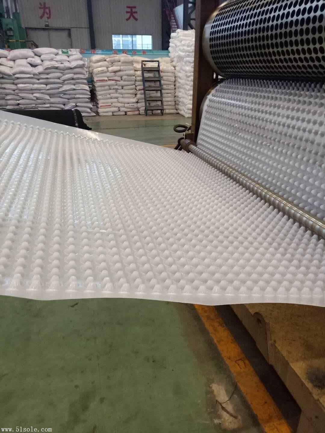 排水板防水板 塑料聚乙烯排水板 质量好价格公道 找泰安融创新材