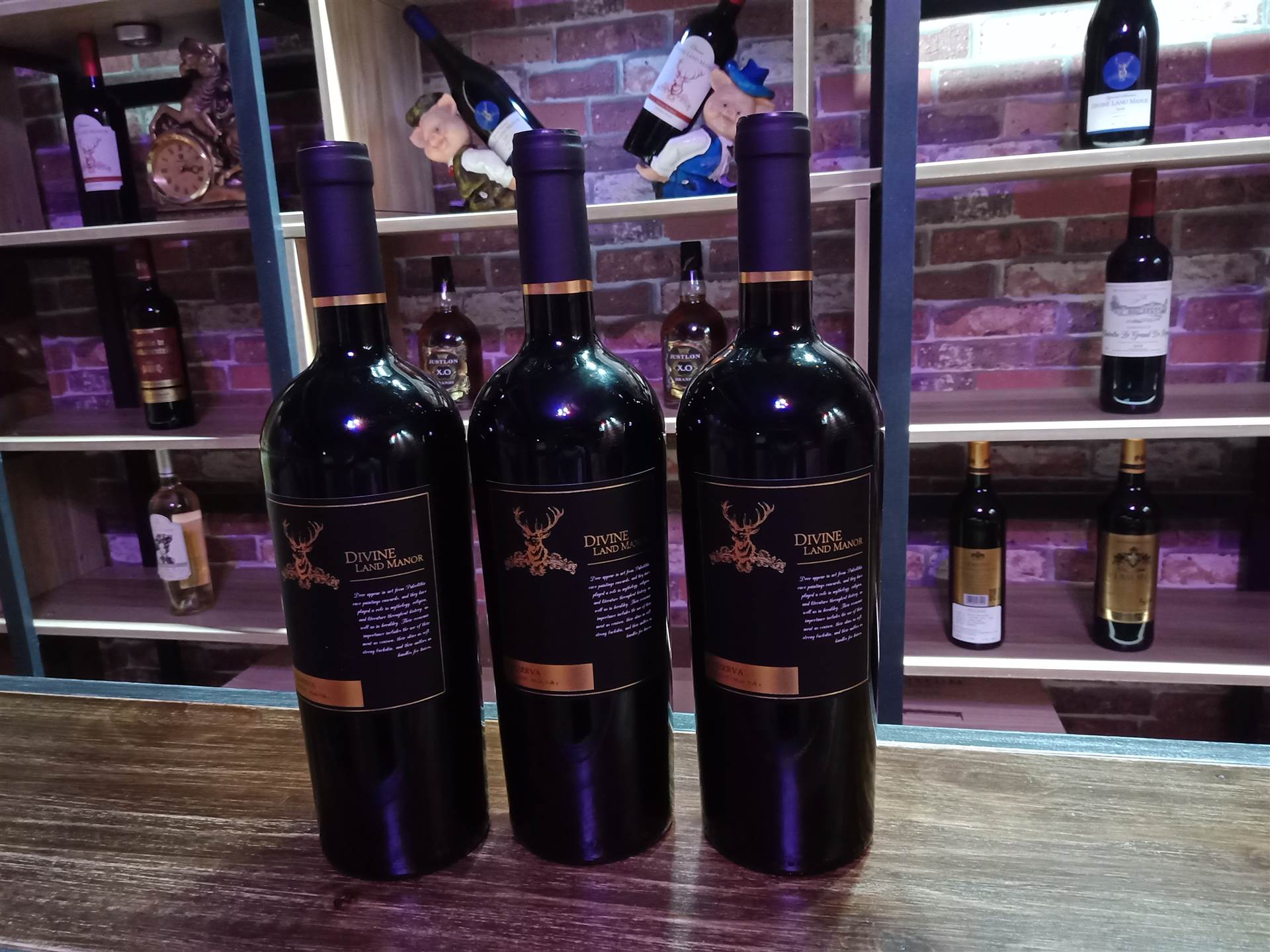 法国原装进口红酒批发全国招商加盟批发团购