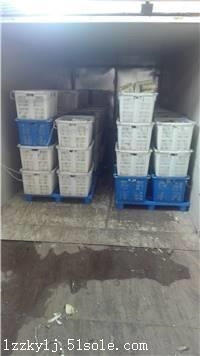 鲜花保鲜真空预冷机大昌牌