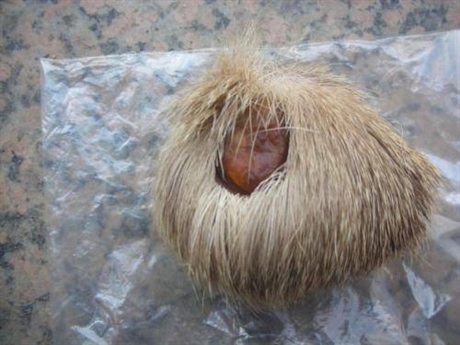 征集麝香上门收购公司