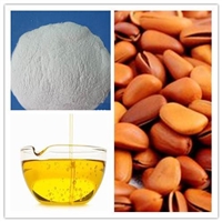松子油粉 松子油微囊粉 品质保证  大量 工厂松子提取物