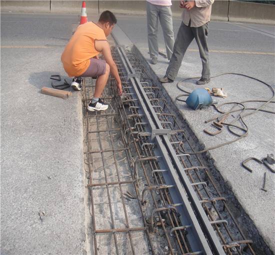 肇庆伸缩缝指导报价