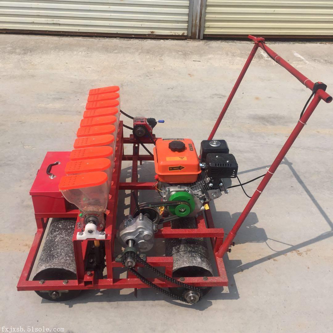 下种深度可调的萝卜播种机 富兴机械