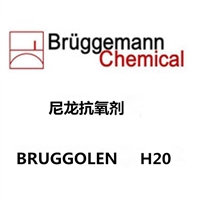 尼龙热稳定剂   布吕格曼BRUGGOLEN   H20
