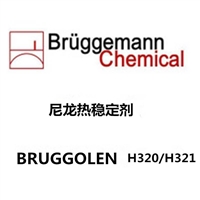 布吕格曼  BRUGGOLEN H320 / H321