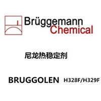现货供应布吕格曼   BRUGGOLEN H328F / H329F