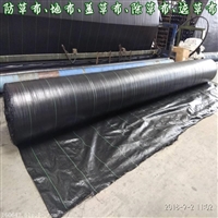 山东防草布 这正宇除草布 用着都说效果好