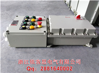 户外防雨箱防水防尘电器控制柜防爆仪表接线端子盒铝合金电箱隔爆