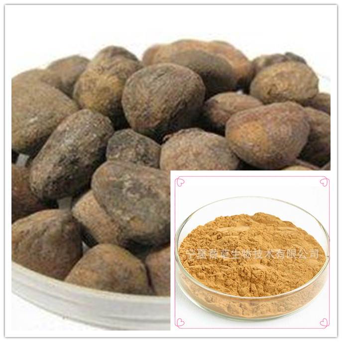 须元芝提取物 30:1 须元芝粉 植物萃取须元芝多糖 厂家直销 价格