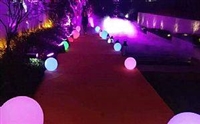 LED发光球圆球灯 防水草坪灯 充电户外落地灯 遥控游泳池