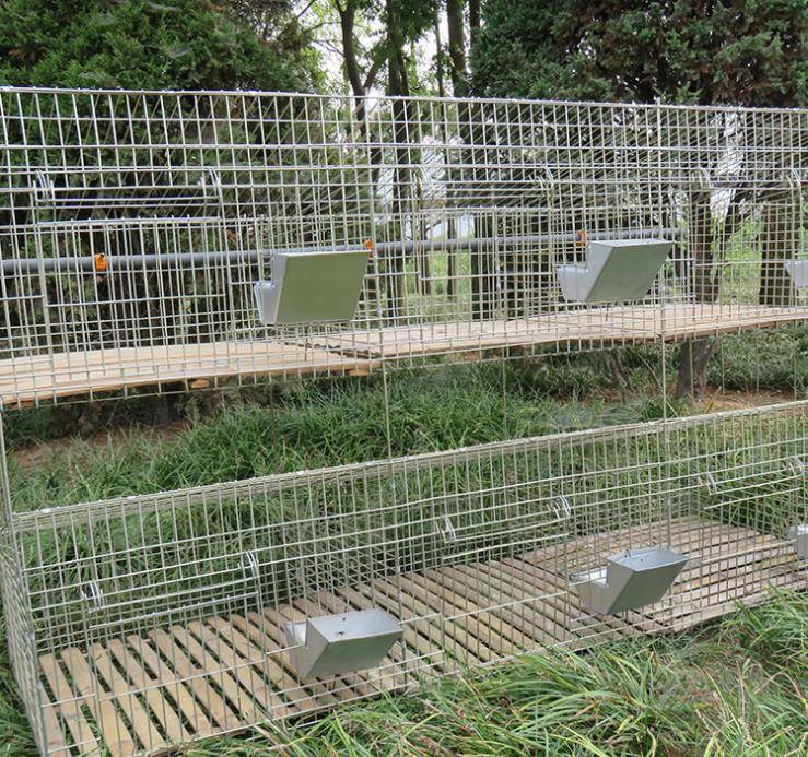 福建铁丝兔笼厂家直销