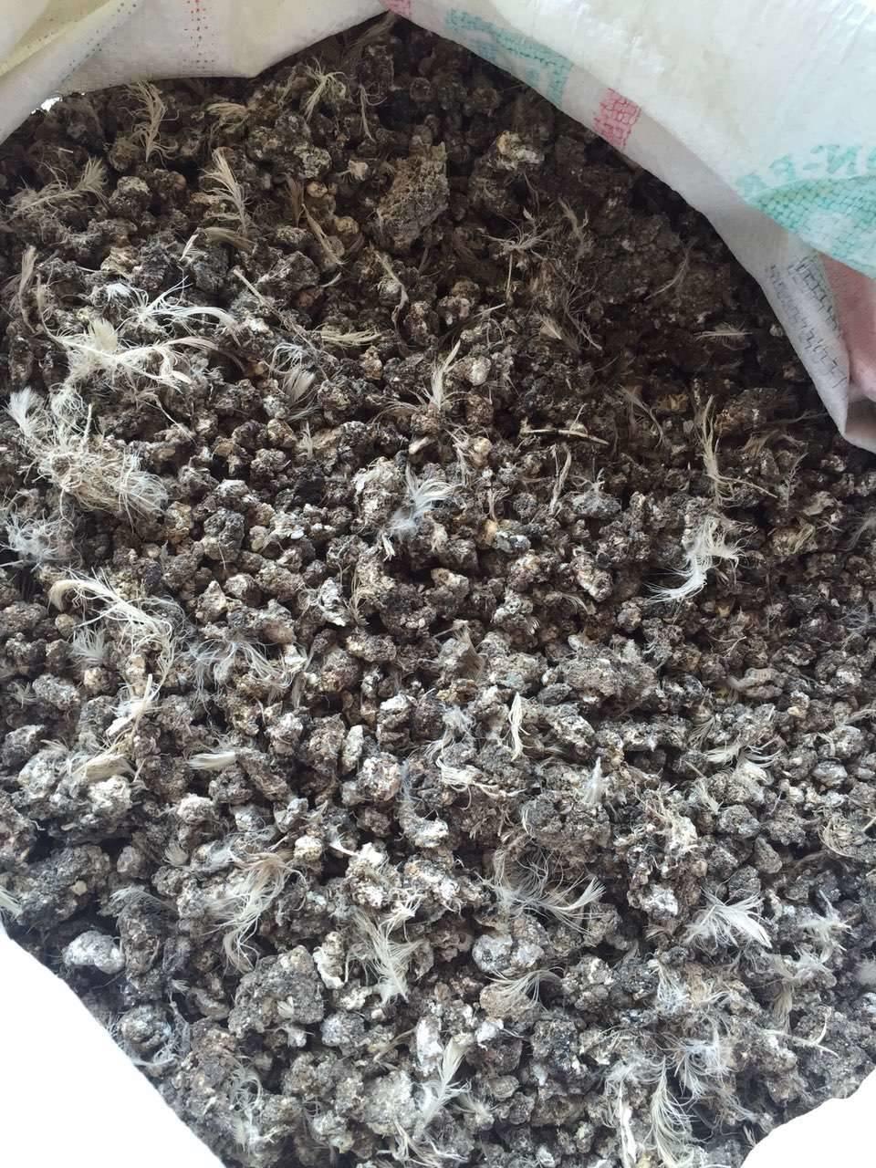 河北鹌鹑粪 河北纯鹌鹑粪