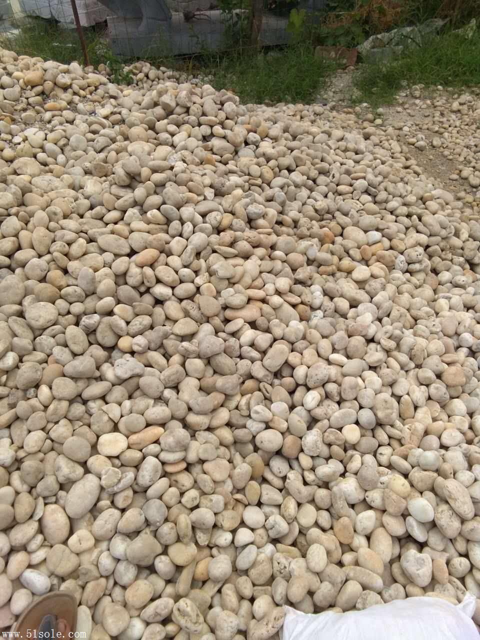 河卵石 黄色铺路鹅卵石 砾石 产地直销