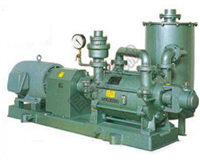 SHINKO SEIKI神港精机耐腐蚀性真空泵 SW-AS型 SW-HM型