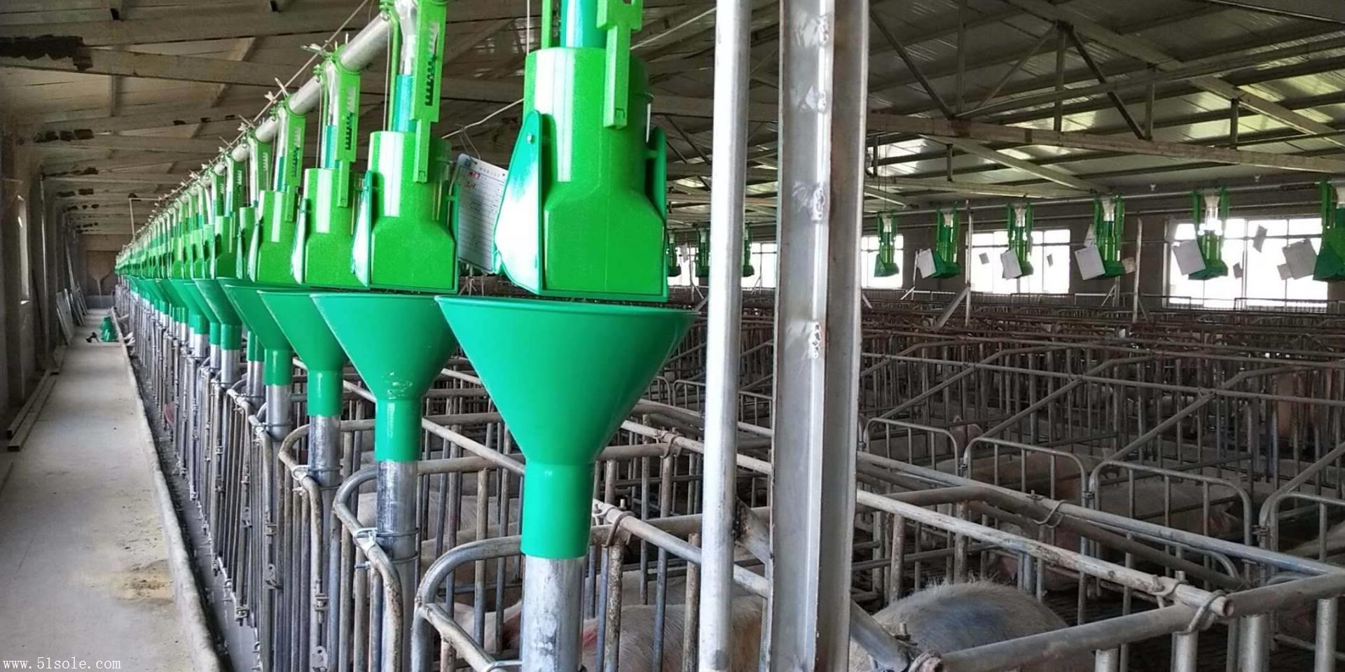 德州四禾聚牧养殖设备有限公司 产品展厅 >养猪料线 猪舍加药器 猪舍