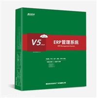 东凤镇打单软件、东凤速达软件免费下载安装、中山财会管理软件