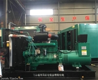 200kw发电机组价格 上海乾能600KW柴油发电机组