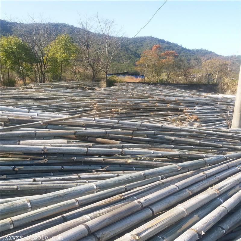 大量批发蘑菇架竹竿 4米5米6米粗竹竿