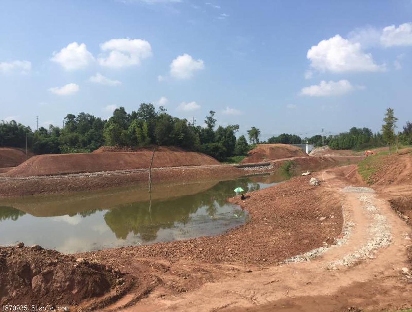 几种简易池塘护坡法