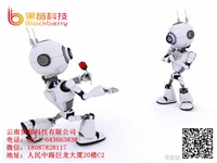 河北百应机器人智能语音识别功能