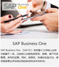 济南SAP 消费品行业ERP管理软件 华智SAP快消品行业系统