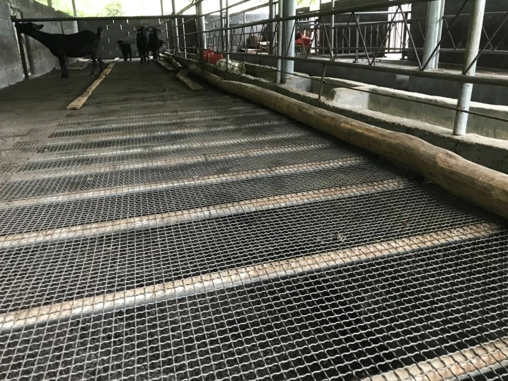 羊床钢丝网a不加蹄羊床钢丝网a羊床钢丝网生产厂家批发