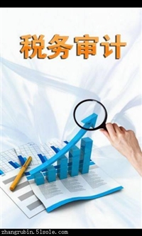 厦门软件园-审计报告-税务筹划-审计税审事宜-税务审计费用